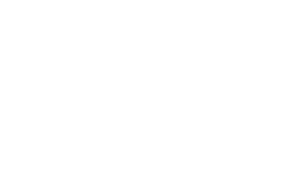 Fipresci award laurel